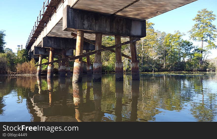 Reflection, Water, Tree, Bayou