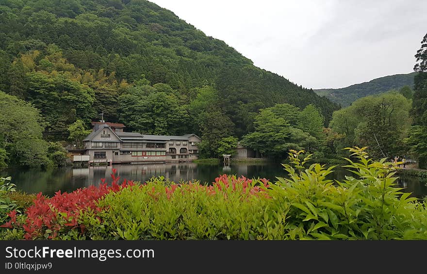 Nature, Vegetation, Nature Reserve, Lake