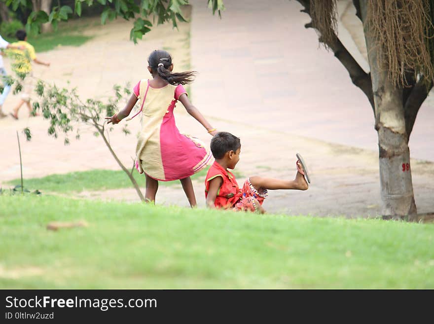 People, Leisure, Tree, Fun