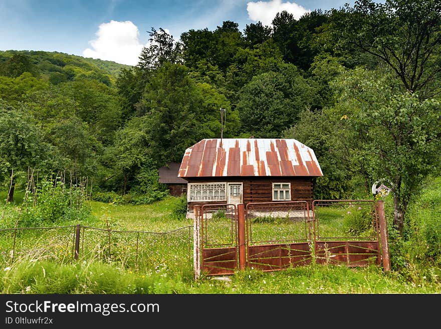 Nature, Nature Reserve, Tree, Rural Area