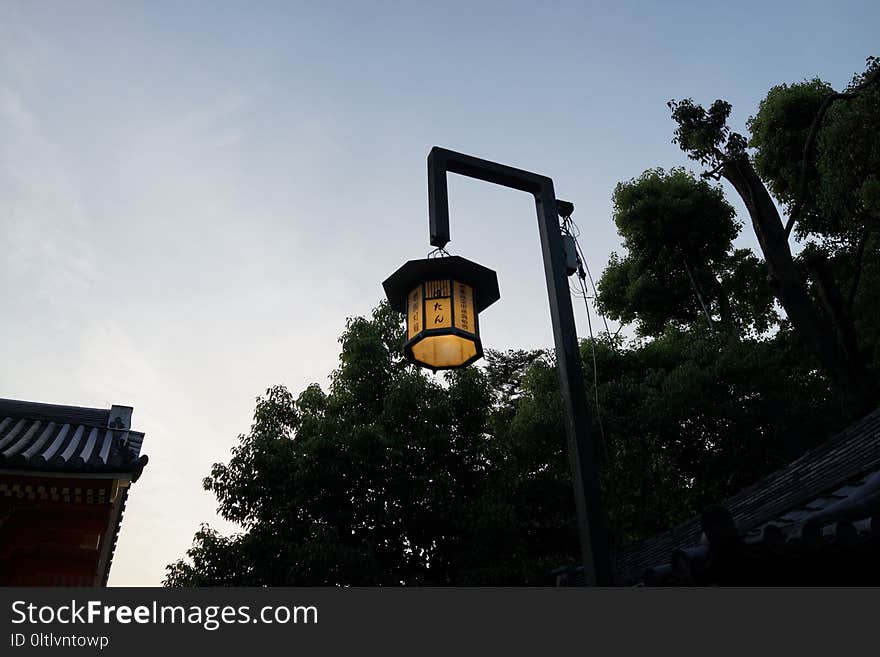 Sky, Street Light, Light Fixture, Tree