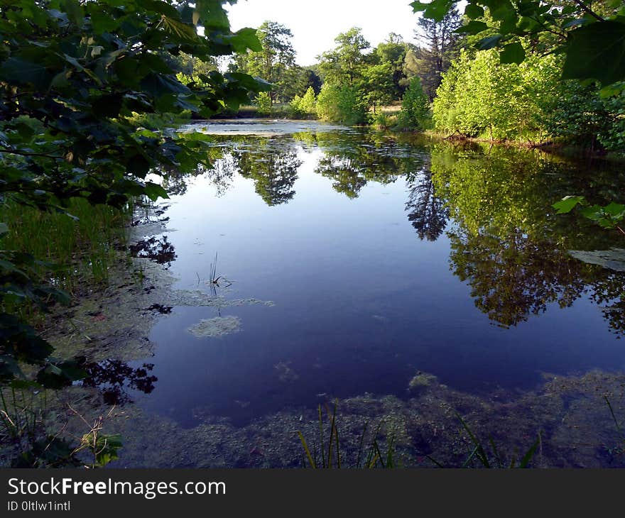 Reflection, Water, Nature, Water Resources