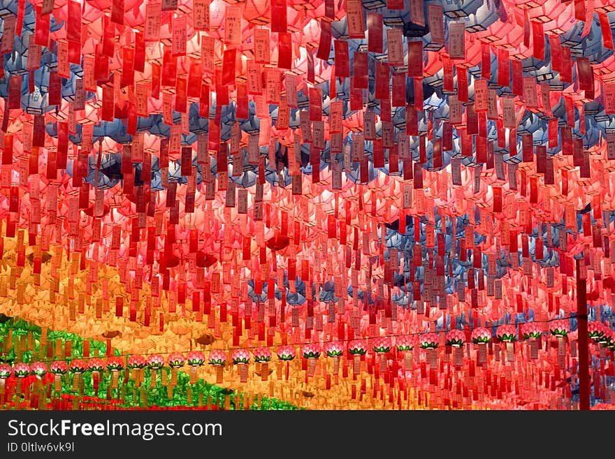 Red, Tree, Poppy Family, Autumn