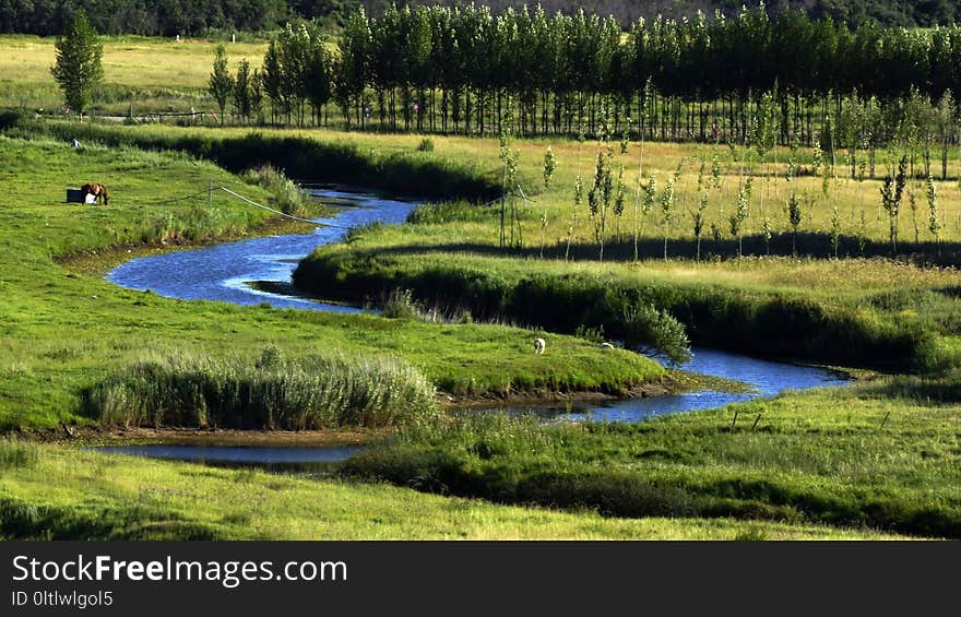 Nature Reserve, Wetland, Vegetation, Water Resources