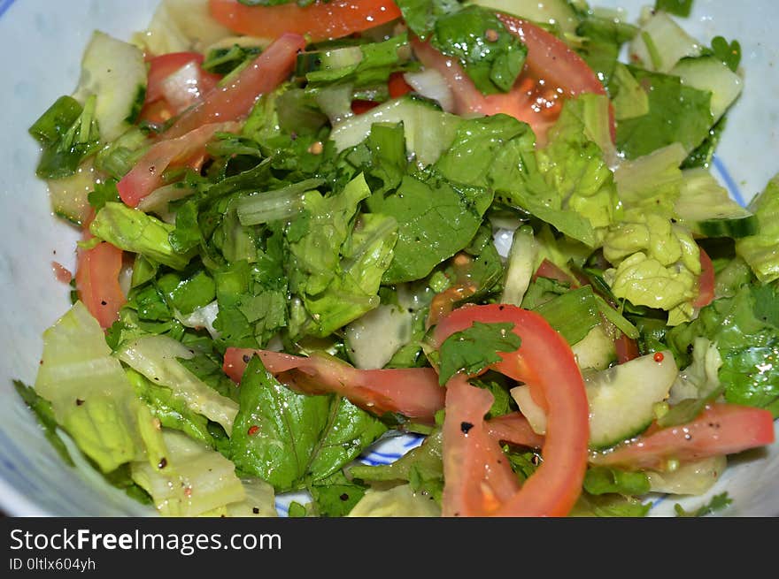 Dish, Salad, Vegetable, Leaf Vegetable