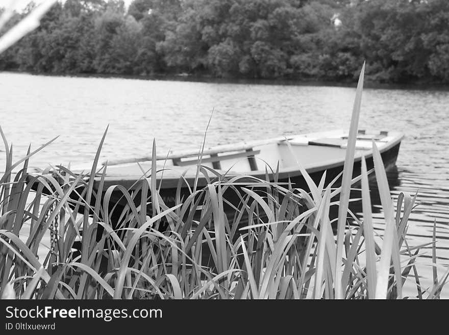 Water, Black And White, Monochrome Photography, Photography