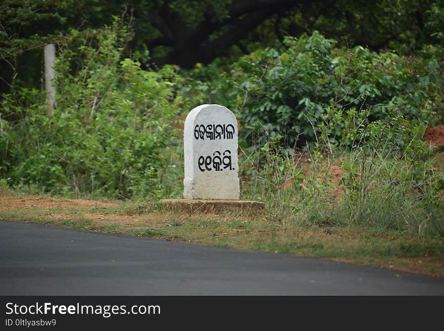 Nature Reserve, Road, Infrastructure, Land Lot