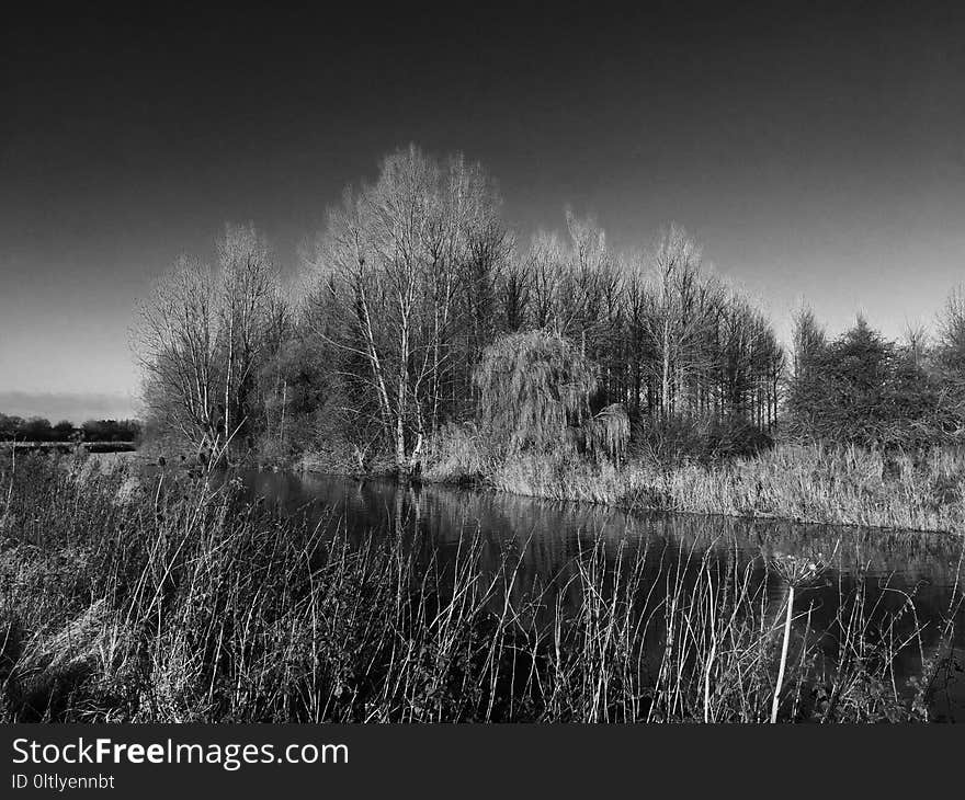 Sky, Black, Black And White, Nature