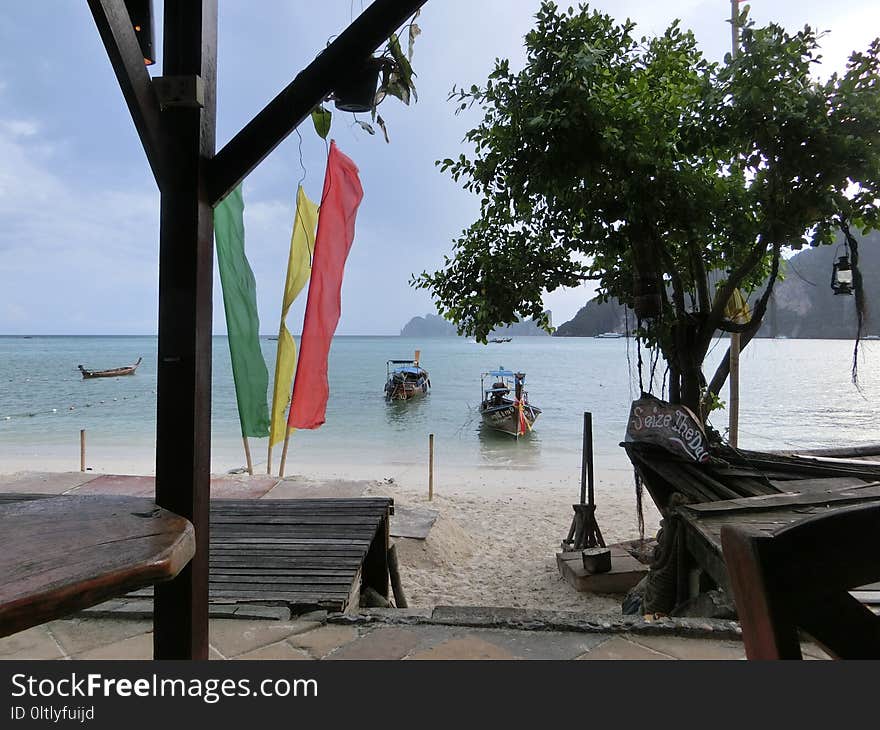 Tree, Beach, Vacation, Sea