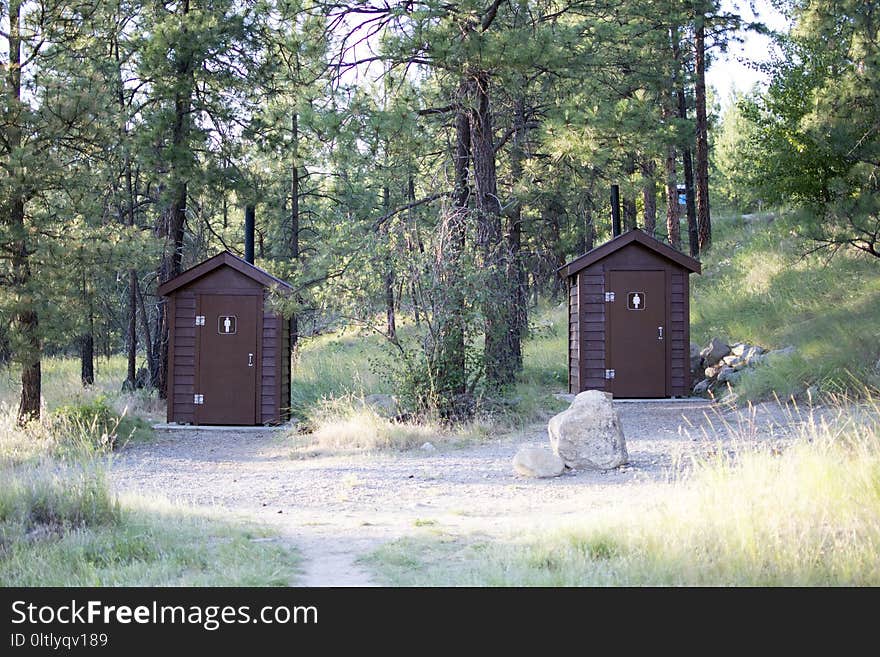 Property, Tree, Cottage, Outhouse