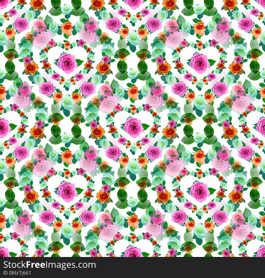 Flower, Pink, Flora, Pattern