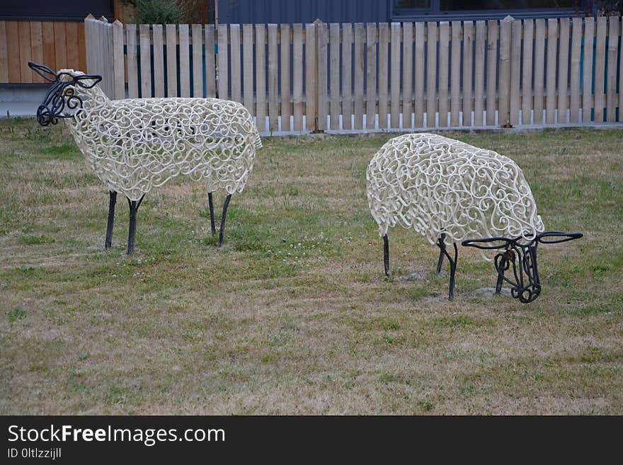 Sheep, Fauna, Herd, Grass