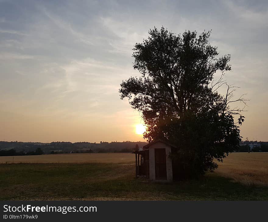 Sky, Tree, Cloud, Field