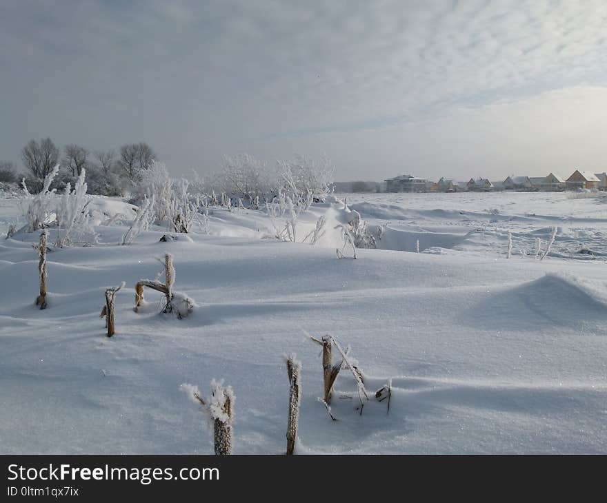 Snow, Winter, Freezing, Arctic