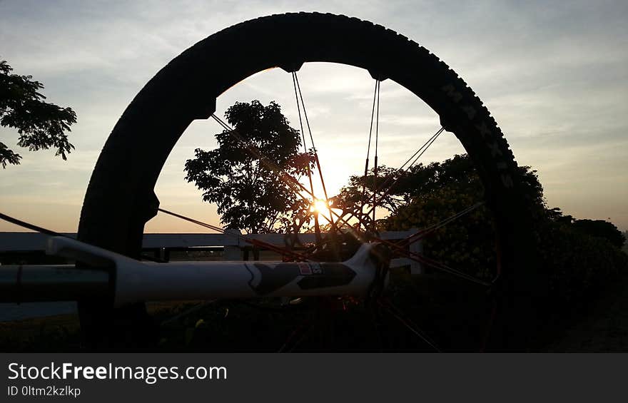 Sky, Sunrise, Morning, Tree