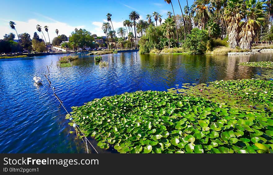 Water, Vegetation, Body Of Water, Waterway