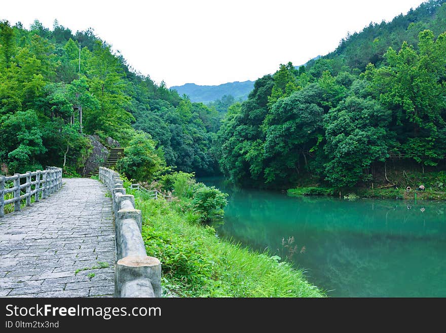 Vegetation, Nature, Nature Reserve, Water Resources