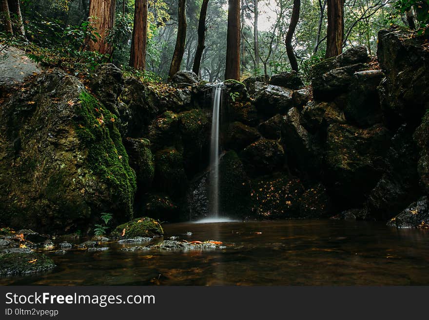 Nature, Waterfall, Water, Nature Reserve