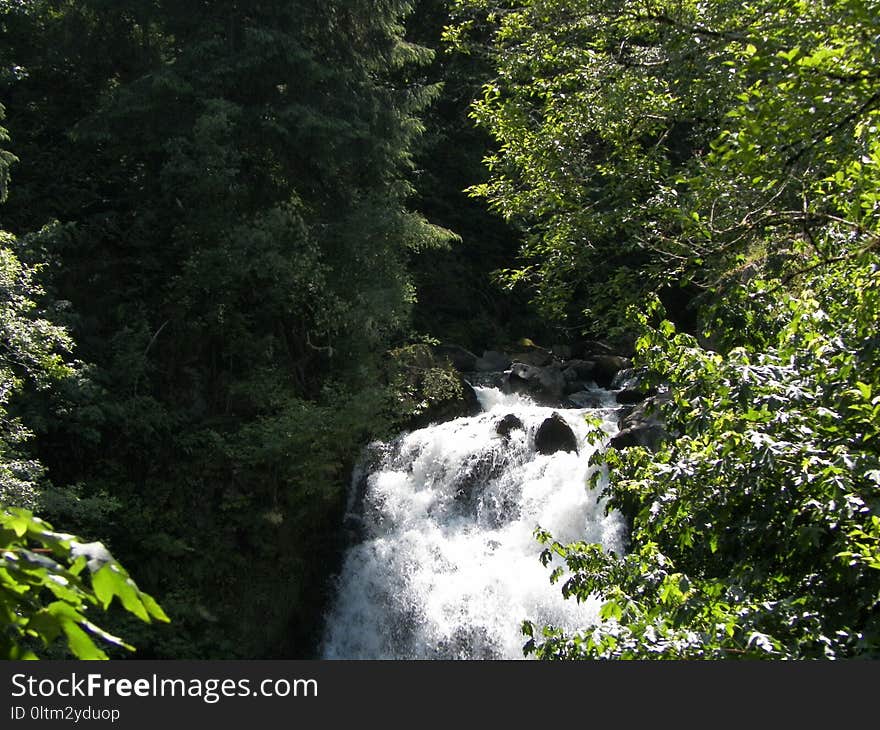 Water, Nature, Vegetation, Nature Reserve