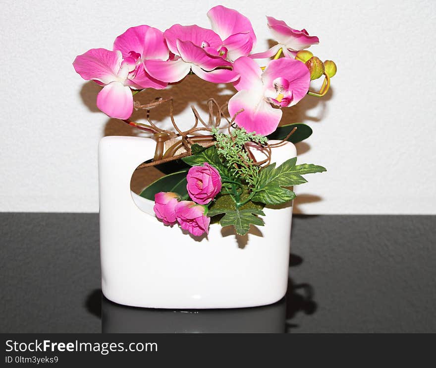 Flower, Flowering Plant, Plant, Flowerpot