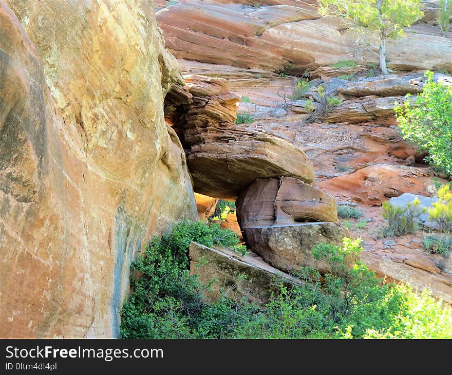 Rock, Bedrock, Tree, Outcrop