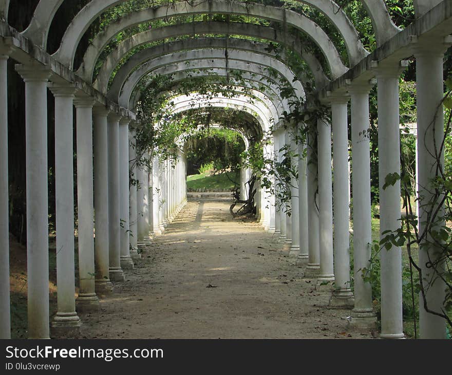 Structure, Tree, Arcade, Arch