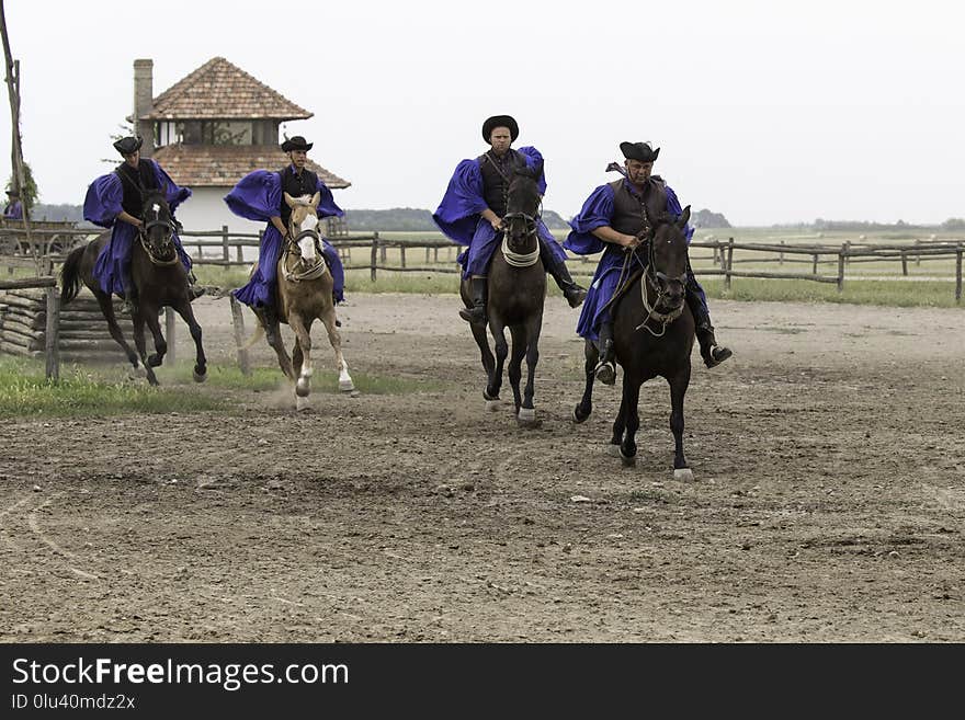 Horse, Western Riding, Animal Sports, Endurance Riding