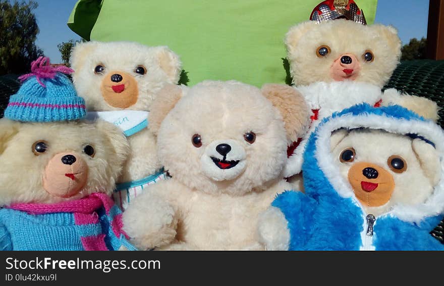 Stuffed Toy, Teddy Bear, Toy, Plush