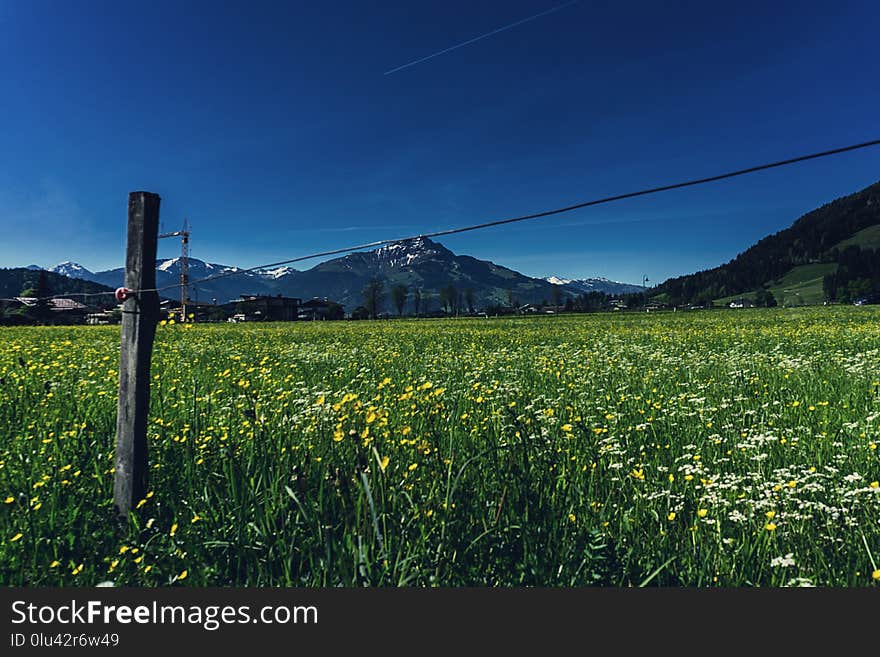 Grassland, Sky, Field, Nature