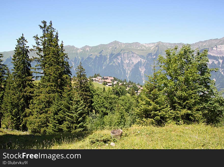 Ecosystem, Wilderness, Mountainous Landforms, Nature Reserve