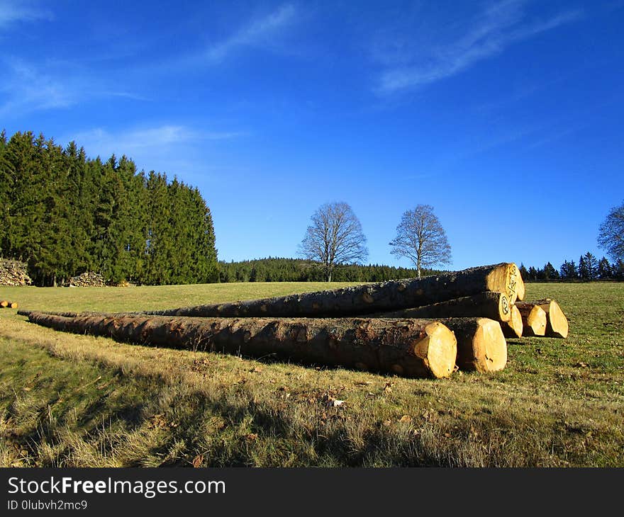 Sky, Grassland, Field, Pasture