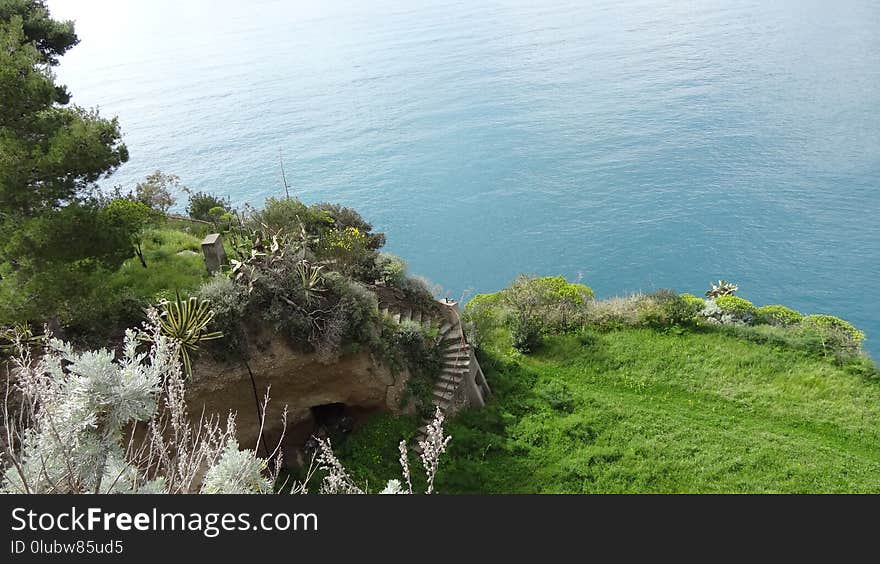 Vegetation, Coast, Nature Reserve, Cliff