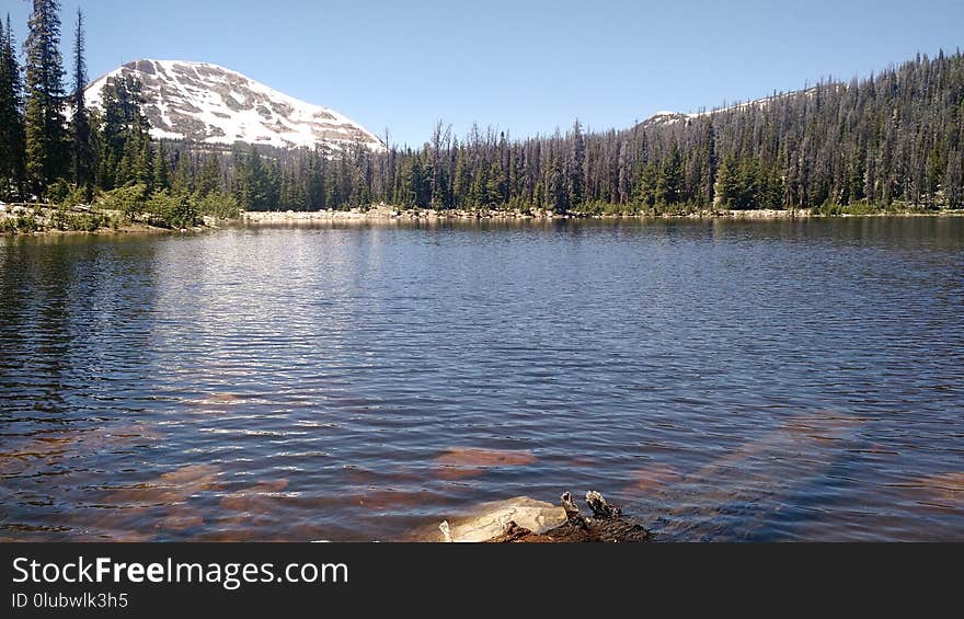 Lake, Reflection, Wilderness, Tarn