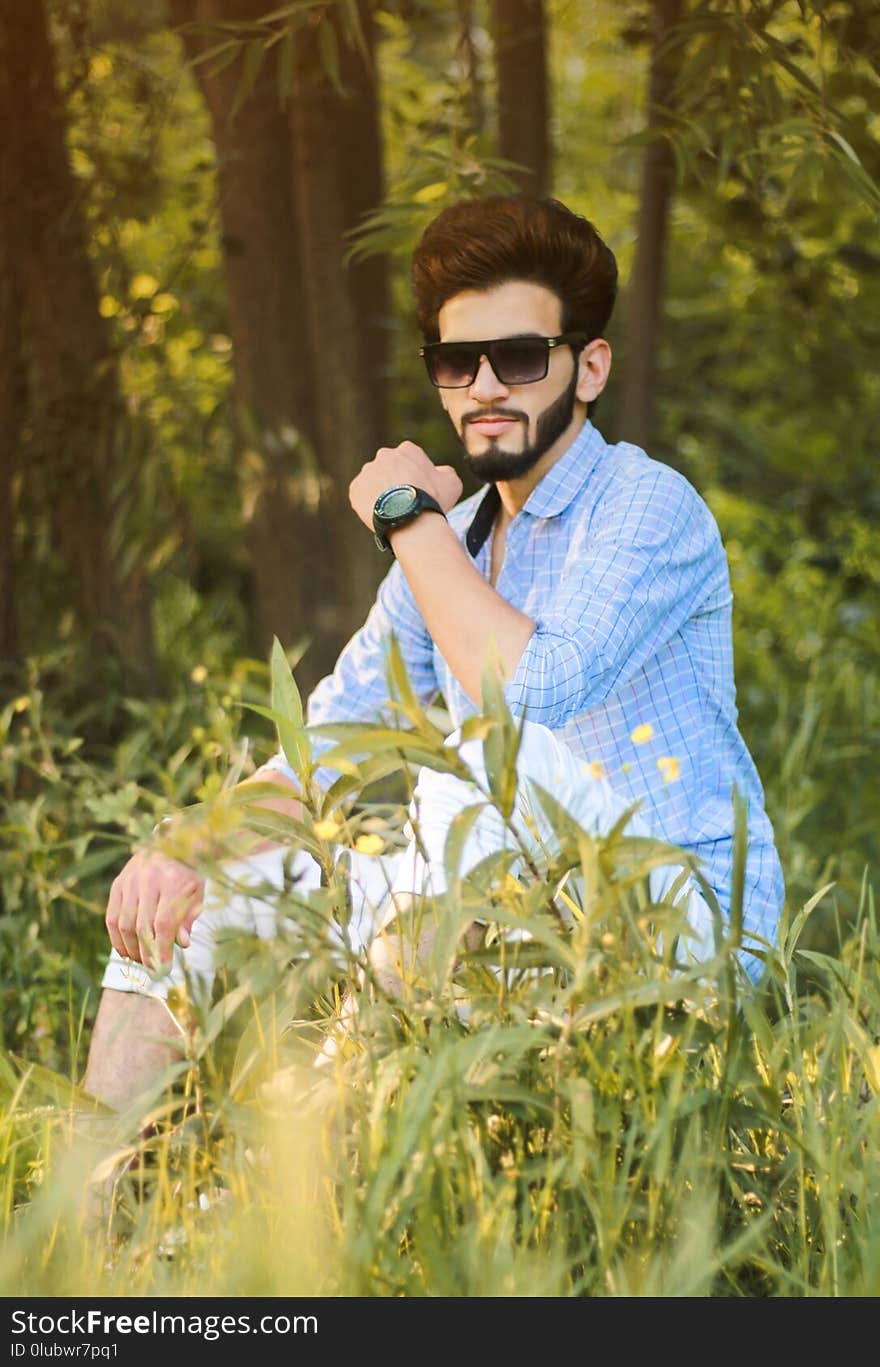 Plant, Nature, Yellow, Grass