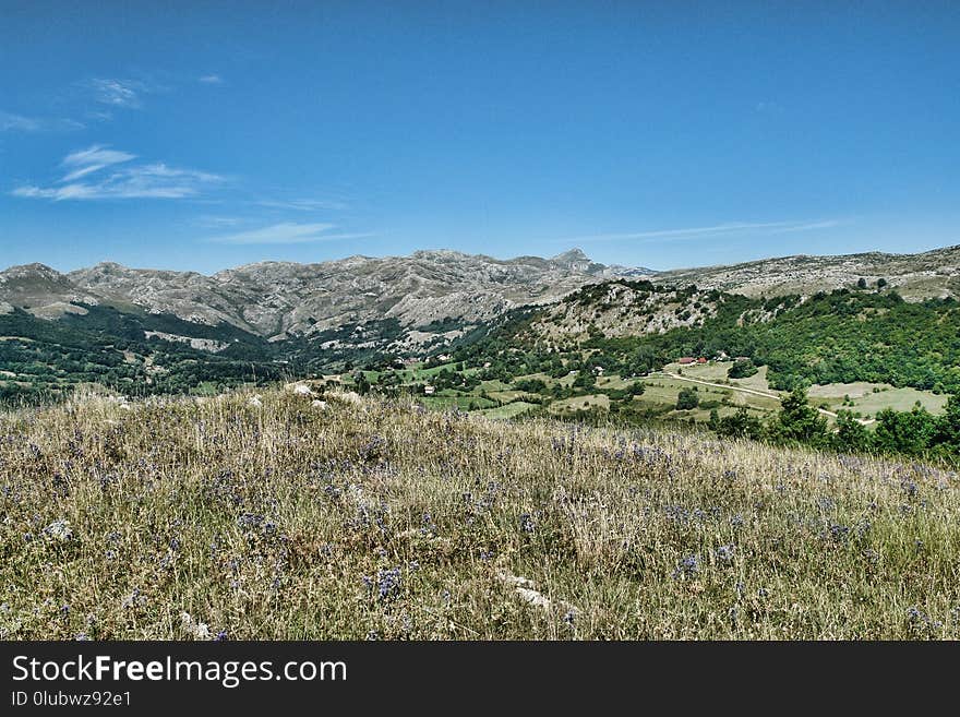 Ecosystem, Wilderness, Sky, Vegetation