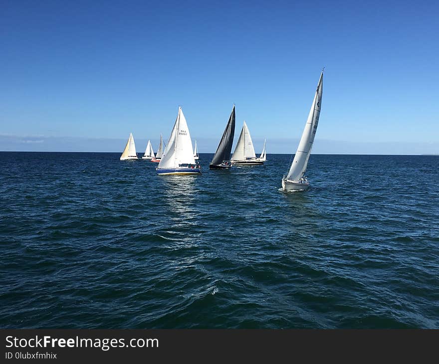 Sailboat, Sail, Water Transportation, Dhow