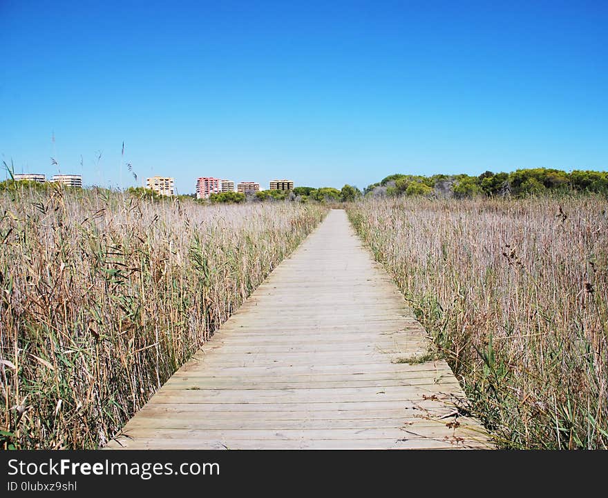 Sky, Path, Wetland, Prairie