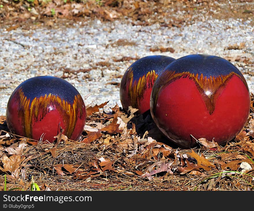 Grass, Galliformes