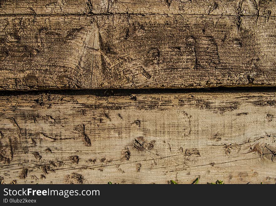 Wood, Wall, Tree, Trunk