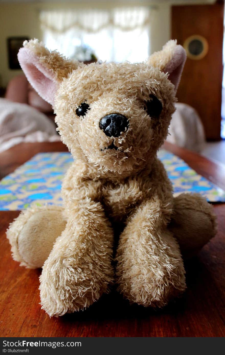 Stuffed Toy, Teddy Bear, Toy, Fur