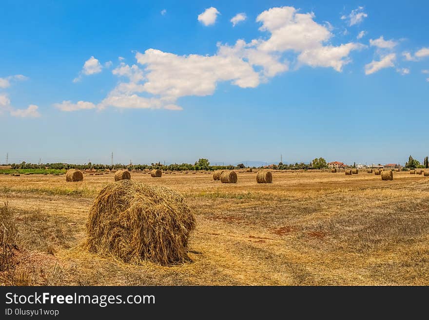 Hay, Field, Grassland, Sky