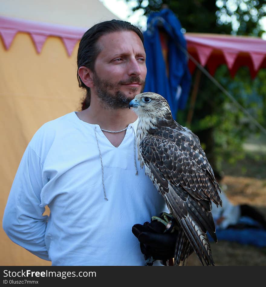 Fauna, Beak, Bird, Falcon