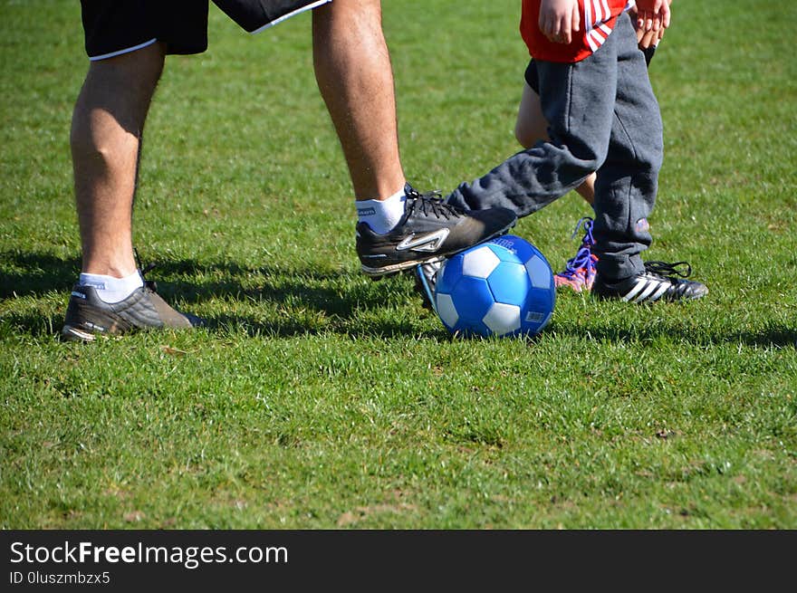 Footwear, Player, Football, Grass