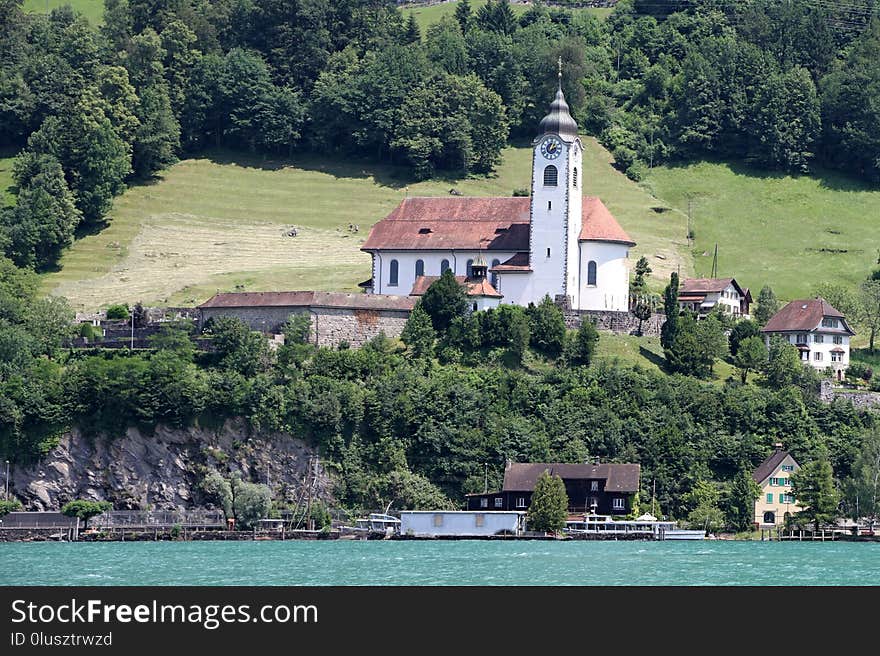 Tree, Water, Lake, Estate