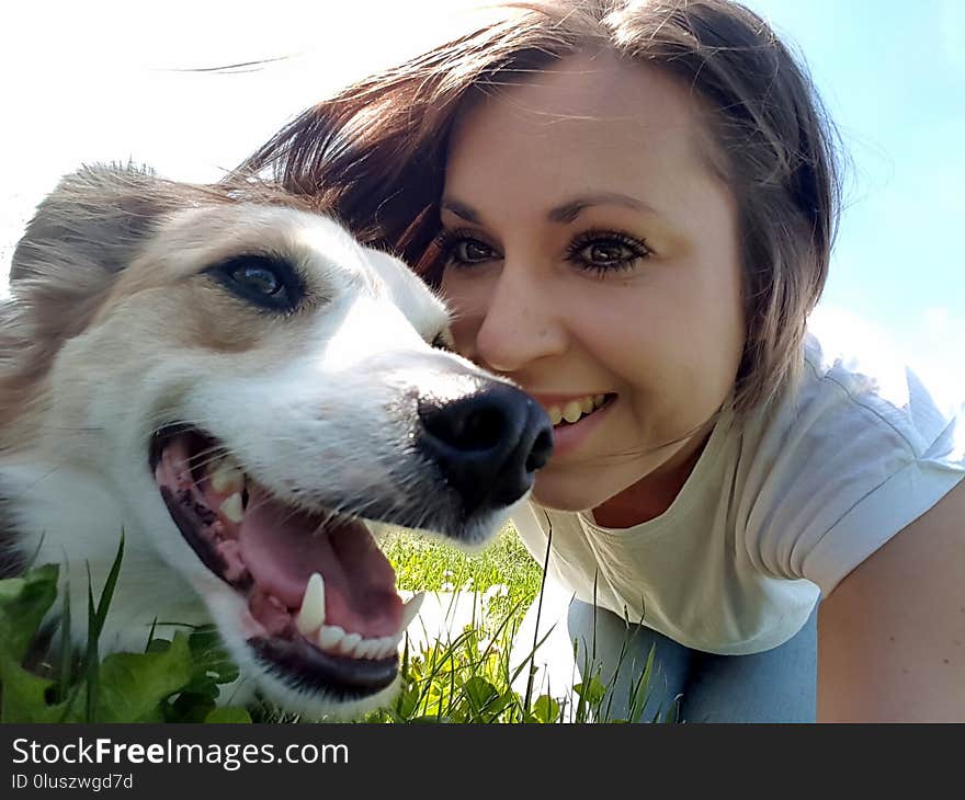 Dog, Dog Breed, Nose, Borzoi