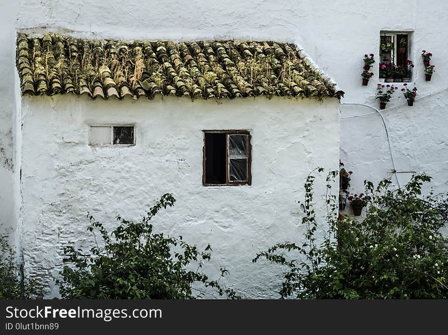 Snow, Winter, House, Tree