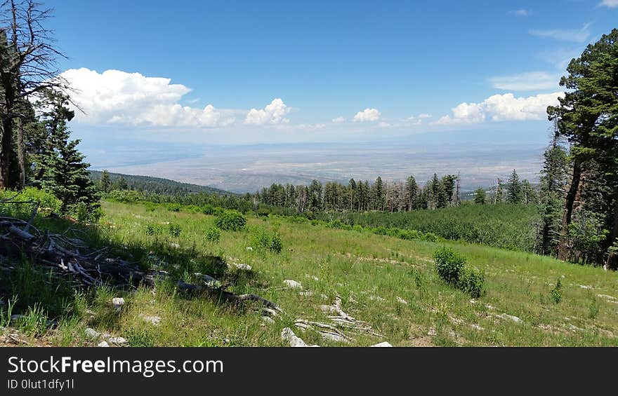 Wilderness, Ecosystem, Ridge, Nature Reserve