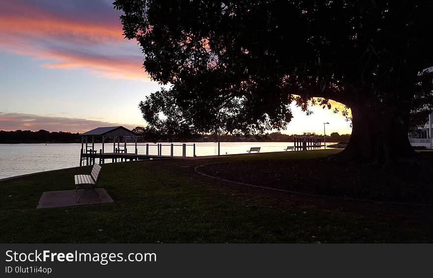 Sky, Nature, Water, Tree