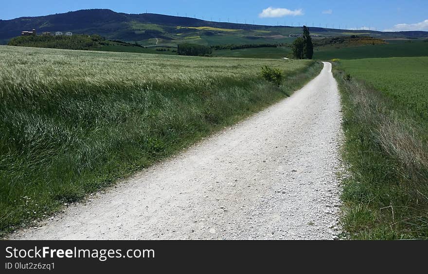 Road, Path, Grassland, Field