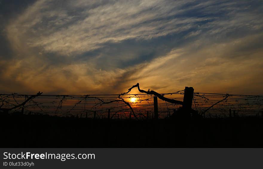 Sky, Cloud, Sunset, Horizon